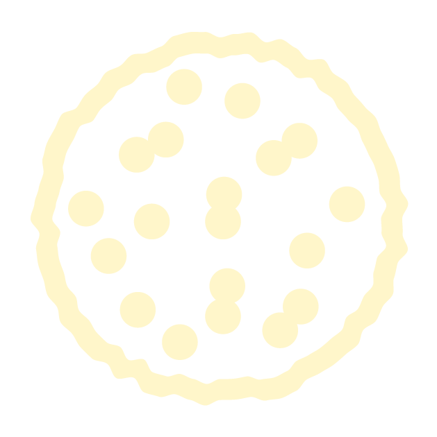 Home fermented icon cream